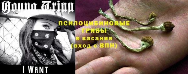 мяу мяу мука Алексеевка
