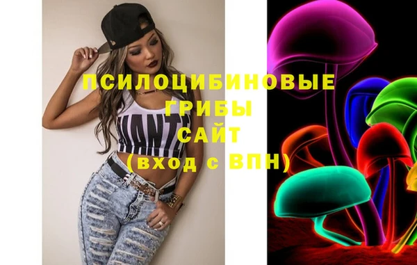 Альфа ПВП Абаза