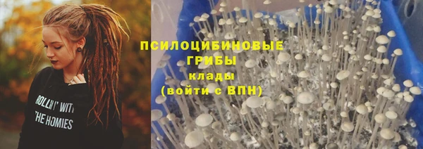 хмурый Абинск